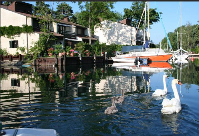 Le Bonheur Les Pieds Dans L'Eau Villa Thonon-les-Bains Exterior photo